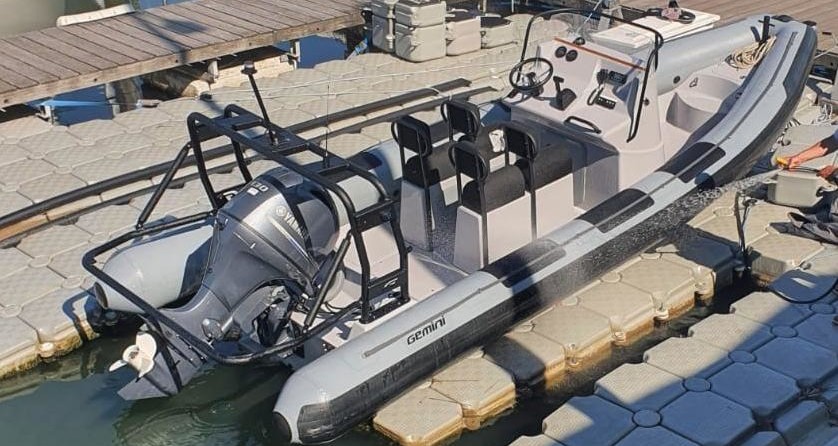 Gemini 650