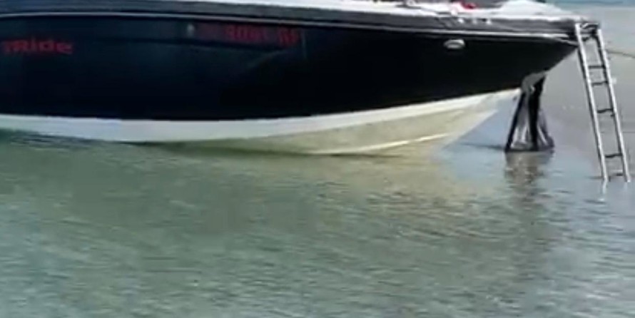 Chaparral 230 SunCoast