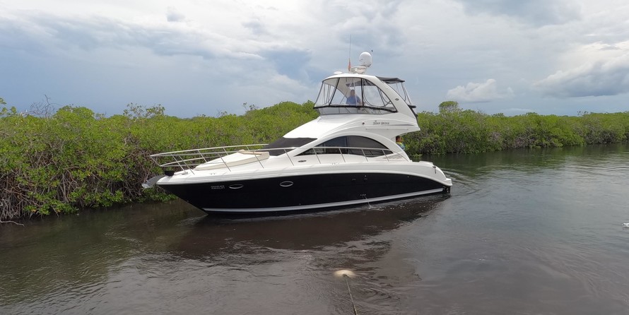 Sea ray sedan bridge