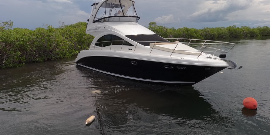 Sea ray sedan bridge