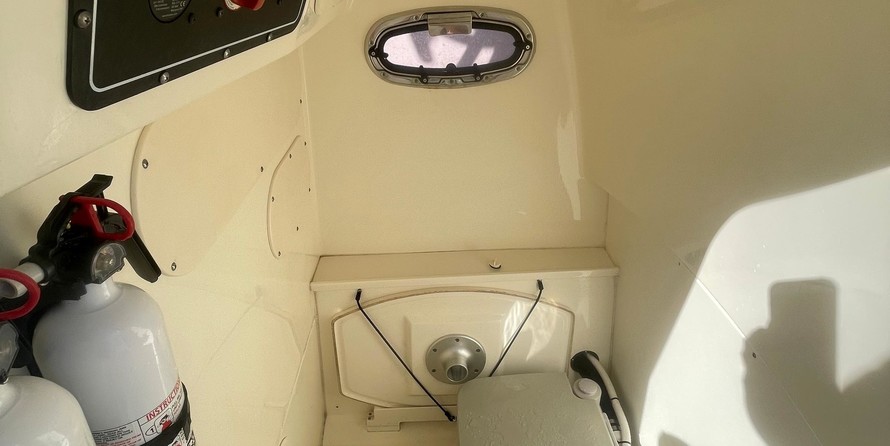 Boston Whaler 270 Dauntless