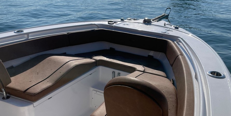 Sea Ray hunt ultra 211