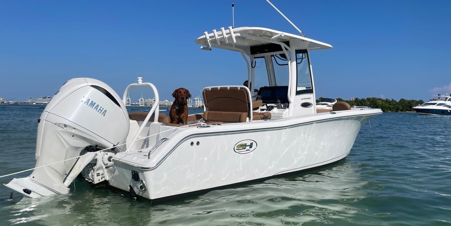 Sea Ray hunt ultra 211