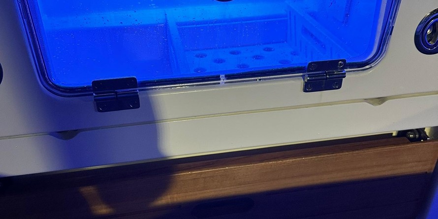 Boston Whaler 350 Realm