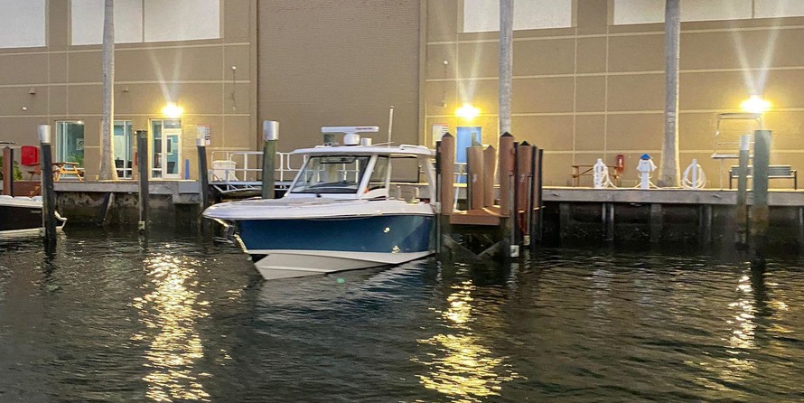 Boston Whaler 350 Realm