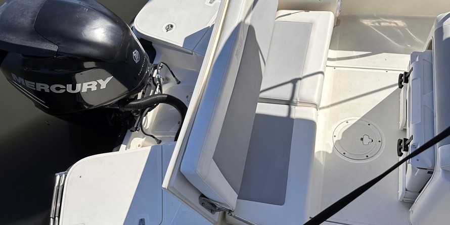 Boston Whaler 210 Dauntless