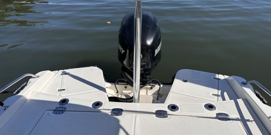 Boston Whaler 210 Dauntless