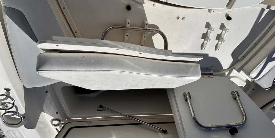 Boston Whaler 210 Dauntless