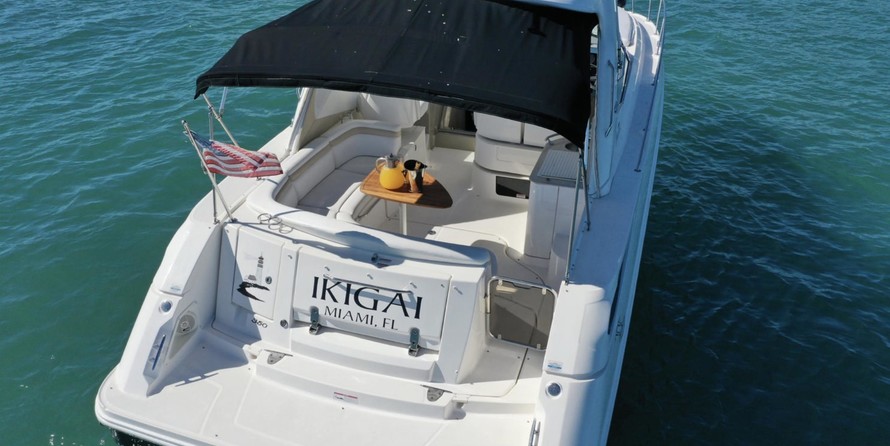 Sea Ray 350 Sundancer