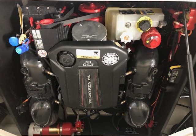 Regal LS2 Surf