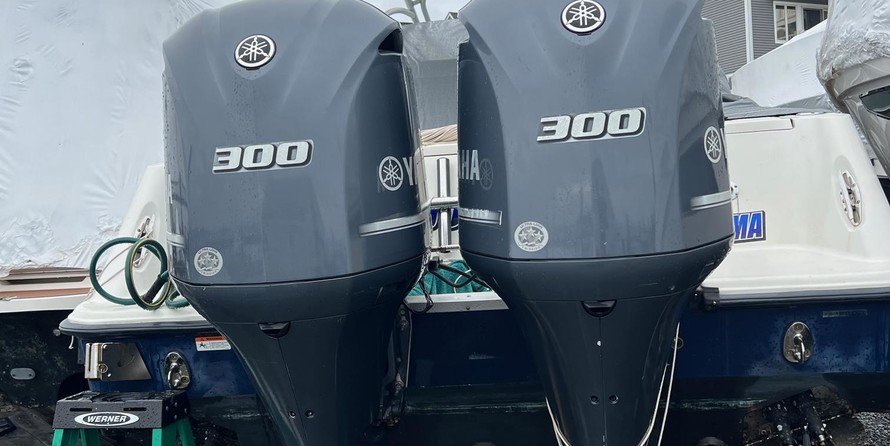 Hydra-sports 2800 vector wa