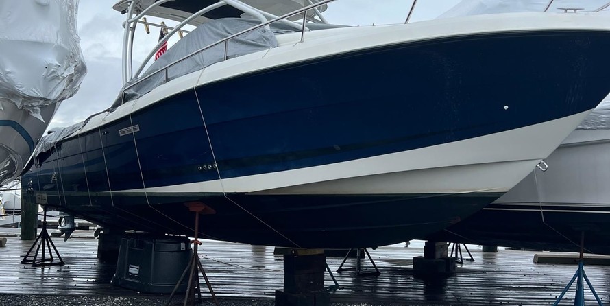 Hydra-sports 2800 vector wa