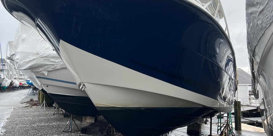 Hydra-sports 2800 vector wa