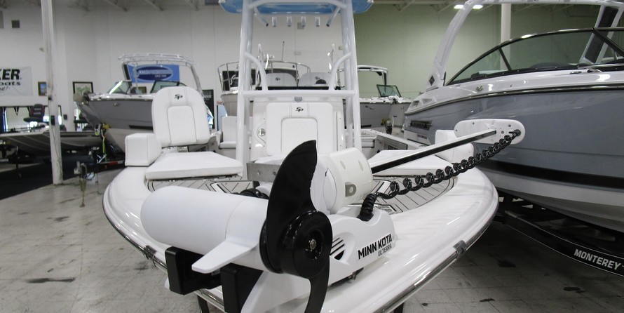 Sea Ray pro 208 bay