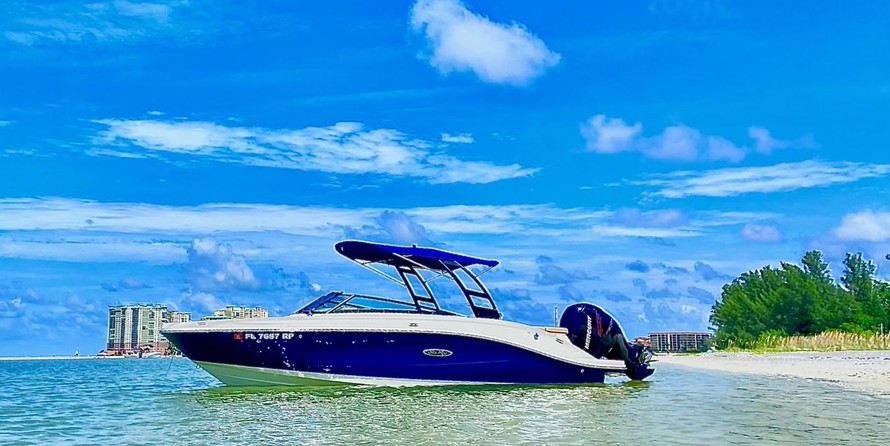 Sea Ray SPX 230 OB