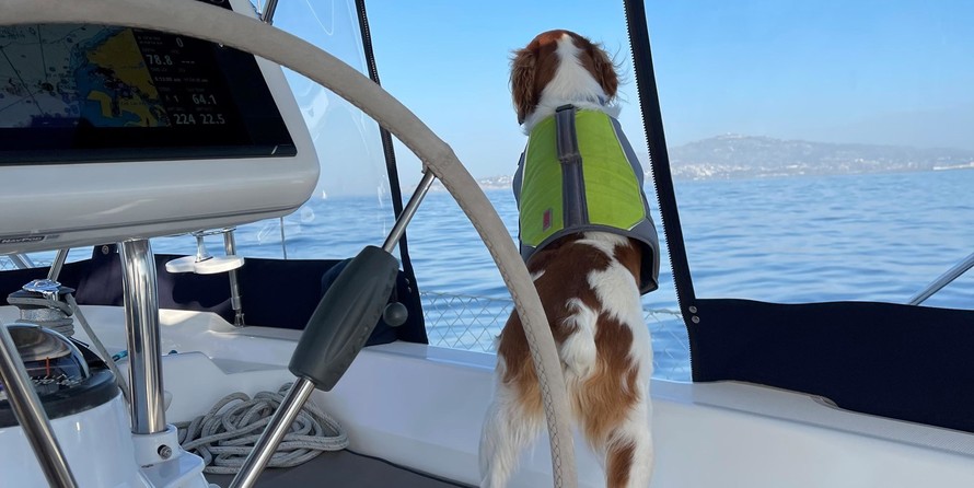 Sea Ray hunter viper 450