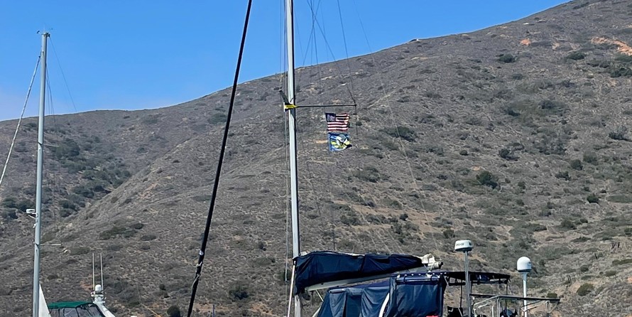 Sea Ray hunter viper 450