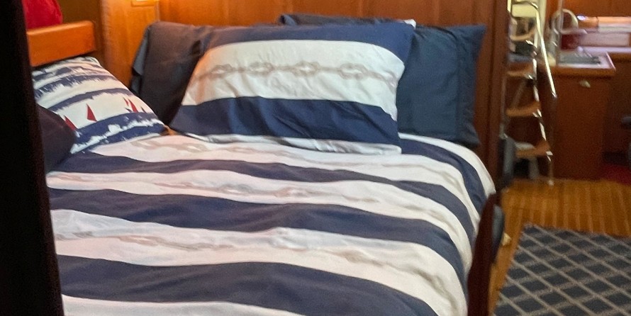 Sea Ray hunter viper 450