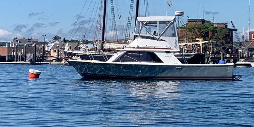 Blackfin Flybridge