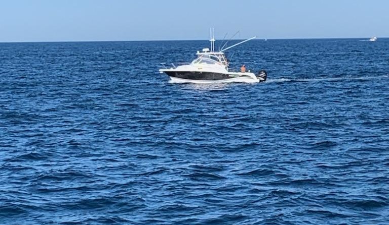 Pro-line 32 express