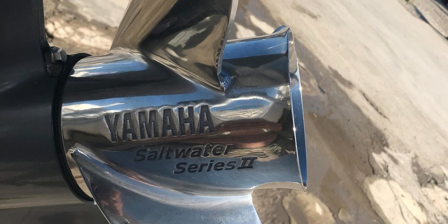 Sea Ray hunt bx22 br