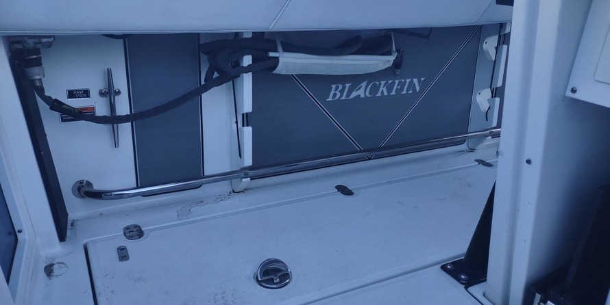 Blackfin 272CC