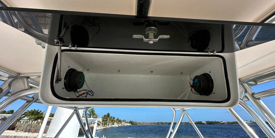 Intrepid 310 walkaround