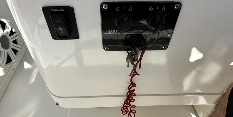 Intrepid 310 walkaround