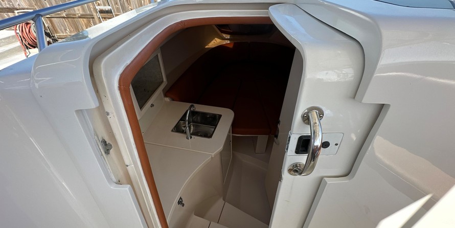 Intrepid 310 walkaround