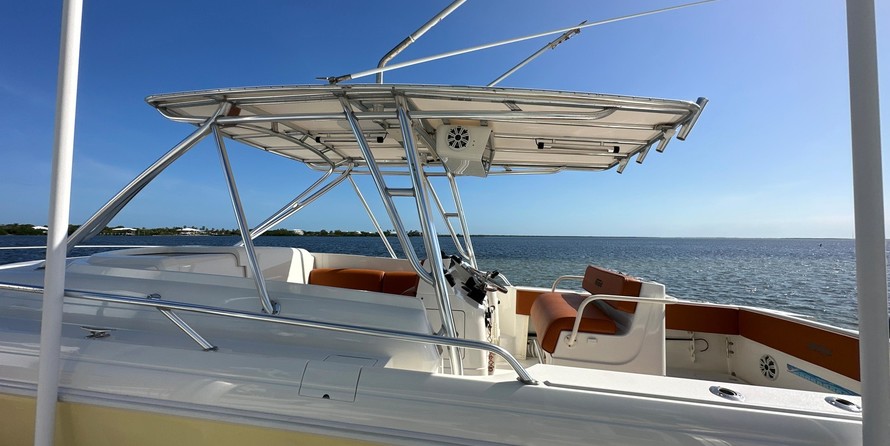 Intrepid 310 walkaround