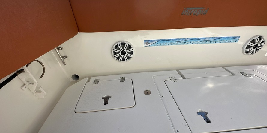 Intrepid 310 walkaround