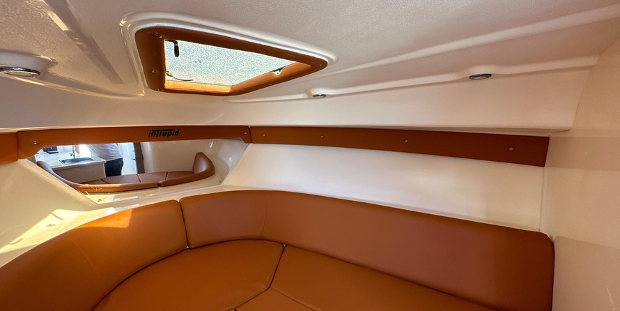 Intrepid 310 walkaround