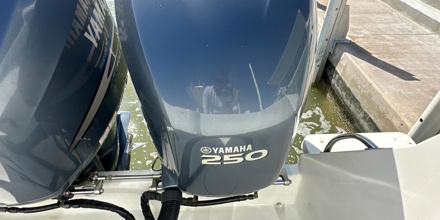 Intrepid 310 walkaround