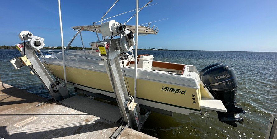 Intrepid 310 walkaround