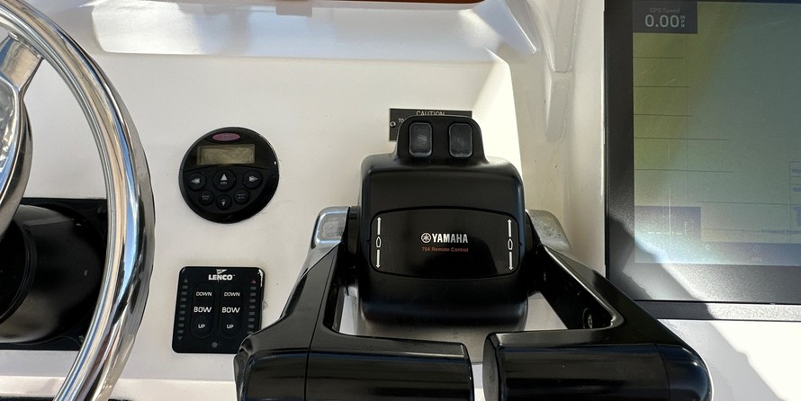 Intrepid 310 walkaround