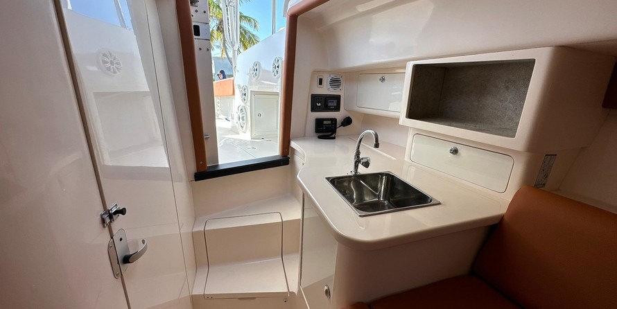 Intrepid 310 walkaround