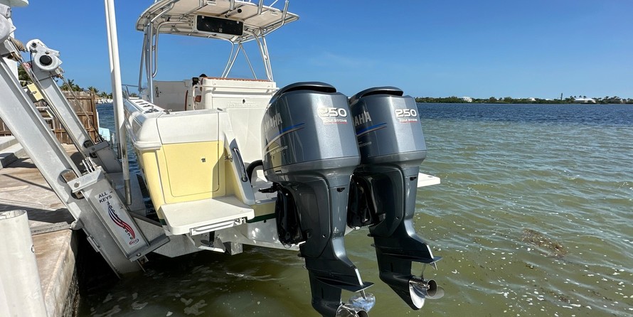 Intrepid 310 walkaround