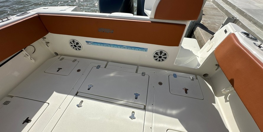 Intrepid 310 walkaround