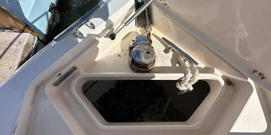 Intrepid 310 walkaround