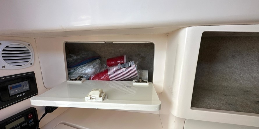 Intrepid 310 walkaround