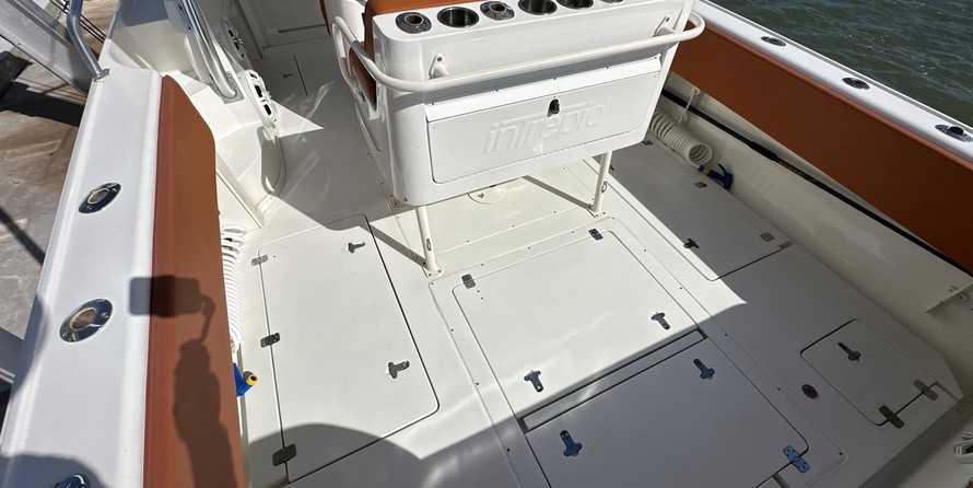 Intrepid 310 walkaround