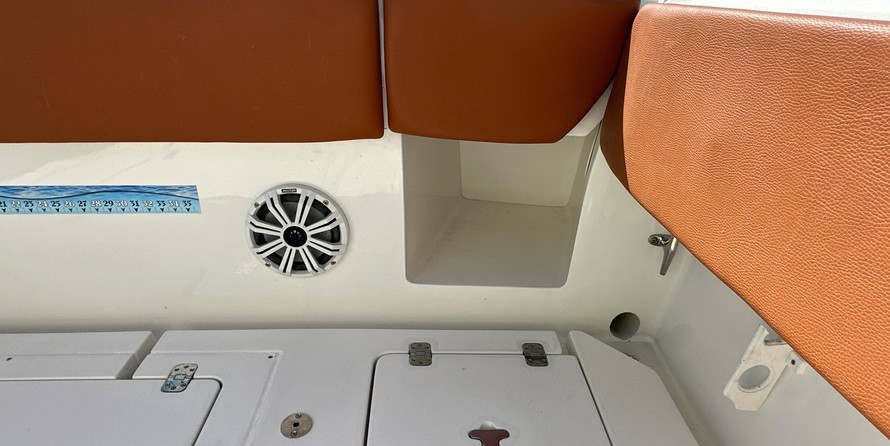 Intrepid 310 walkaround