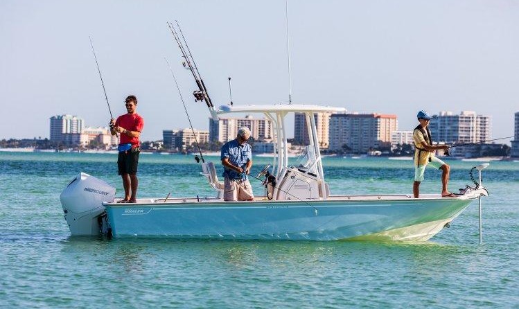 Boston Whaler 210 Montauk