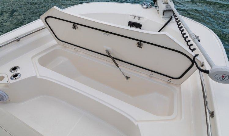 Boston Whaler 210 Montauk