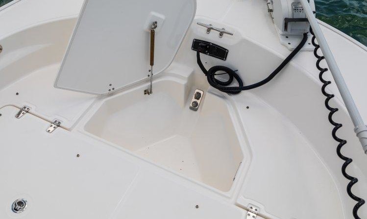 Boston Whaler 210 Montauk