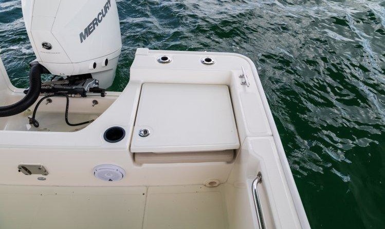 Boston Whaler 210 Montauk