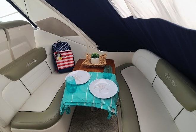 Sea Ray 310 Sundancer