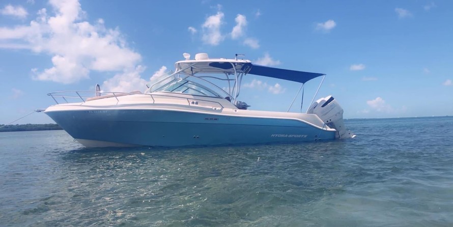 Hydra-sports 2800 vector wa