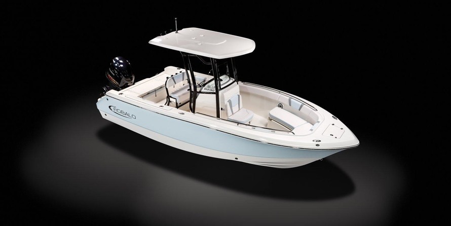 Robalo R230 Center Console