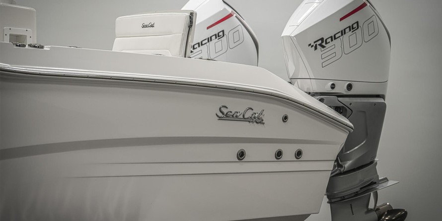 Sea Ray cat 26
